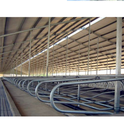 Forte vantaggio saldatura in acciaio inossidabile vacca alimentare separatore freestand con verniciato