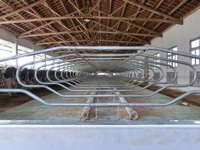 Ferrovie galleggianti e cicli flessibili