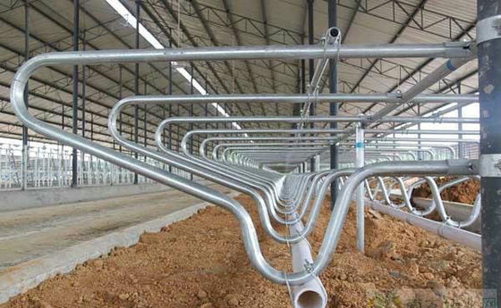 Localizzazione del servizio locale Nessun processo di saldatura utilizzato per le soluzioni di attrezzature per l'allevamento lattiero-caseario