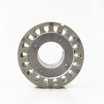 Prodotto in serie Stamping parte strato sciolto Pin Rator statore con lamiera di acciaio al silicio