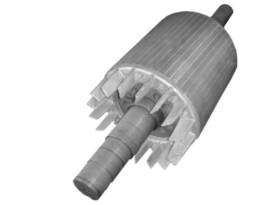 Stator e rotore per motori elettrici