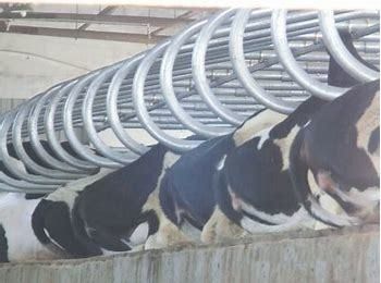 Largamente utilizzato Recinzione galvanizzata in acciaio con vernice a colori in Hebei Nanfeng