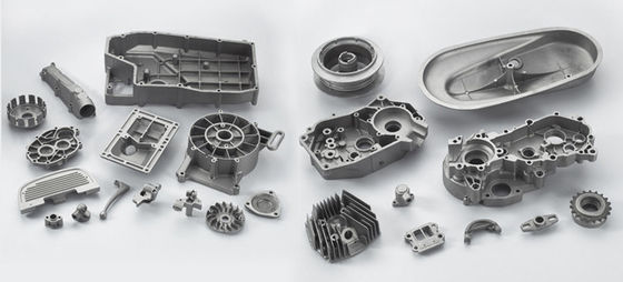 Industria OEM/ODM Customized Metal Die Casting and Forging con tolleranza 0.05mm